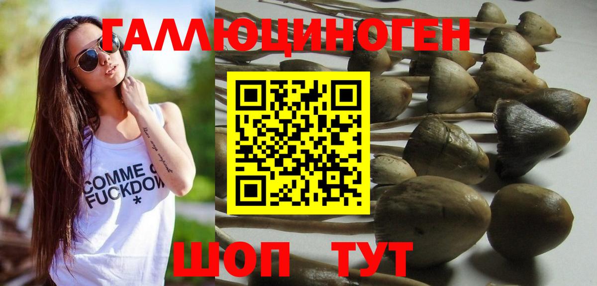 Псилоцибиновые грибы мухоморы  Псилоцибиновые грибы Psilocybine cubensis  Вход с VPN  Сургут 